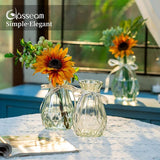 Glazen vazen voor bloemen met zijden touw, 3 stuks moderne hyacinten vazen, Bud Avocado vaas, edelwikkvaas voor hydrocultuur planten, narcissen en orchideeën voor op het bureau, de vensterbank of binnenshuis.