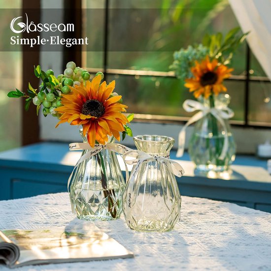 Glazen vazen voor bloemen met zijden touw, 3 stuks moderne hyacinten vazen, Bud Avocado vaas, edelwikkvaas voor hydrocultuur planten, narcissen en orchideeën voor op het bureau, de vensterbank of binnenshuis.