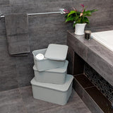 Set van 2 plastic rotan manden met deksels gemaakt van bisfenol A (BPA)-vrij polypropyleen, lichtgrijs, maat S (7 liter)