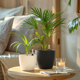 Zelfwater gevende plantenpot met waterindicator, set van 4, met wateropslag, voor gebruik binnen en buiten, 15 cm, zwart