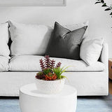 Kunstplant, vetplanten, kunstmatige kamerplant, vetplant, decoratieve tafeldecoratie, woonkamer, vetplant, in cementpot, voor badkamer, bureau, sideboard, hoogte 16 cm