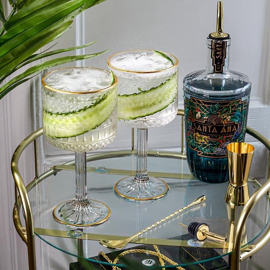 Luxe gin-tonic glazenset | 2 x gin-glaasjes/cocktailglaasjes met gouden details | Gouden lepel, dubbele spiritusmaat & spiritusschenker en recepten-e-boek. gin cadeau | Gin glazen set