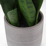 Kunstplant Sanseveria Kunstkamerplant, decoratieve plant, hoogte 40 cm, in cementpot