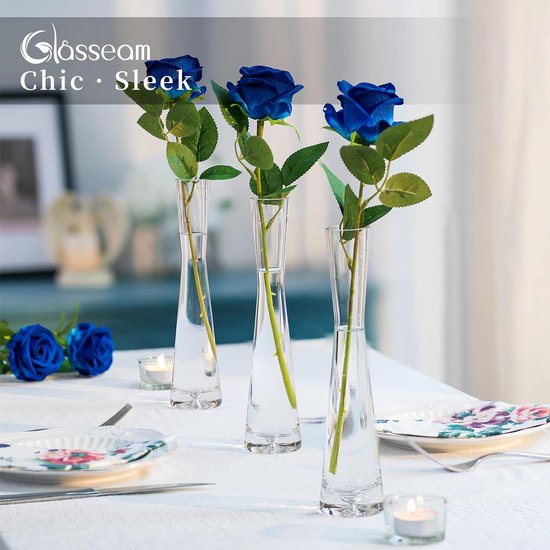 Bloemenvaas, moderne glazen vazen, smal, set van 6, 20 cm hoog, Blomus vaas, glazenset, handgemaakt, smalle vazen, woonkamer, eettafel, tafeldecoratie, tulpenvaas, decoratieve vaas voor