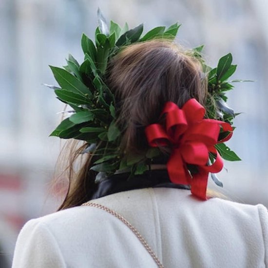 Plastic lauwerkrans voor mannen en vrouwen met rode strik en nepbes voor feestartikelen. Plastic lauwerkrans voor mannen en vrouwen met rode strik en nepbes voor feestartikelen.