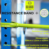 Weerstandsband Fitness SET plus Oefenen in het Nederlands Weerstandsbanden voor optrekhulp, krachttraining, stretching, training, turnen, crossfit elastische fitnessbanden