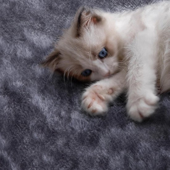 Krabpaal, 107 cm, stabiele kattenboom, klimboom, met kattenhol, krabplank, pluche sisal, kattenmeubel, donkergrijs