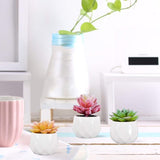 Kunstmatige vetplanten, 3 stuks, kunstplanten met pot, kleine kunstplant, voor tafel, huis, balkon, kantoor, decoratie. Kunstmatige vetplanten, 3 stuks, kunstplanten met pot, kleine kunstplant, geschikt voor tafel, huis, balkon, kantoor, decoratie.