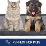 Schoonloopmat voor binnen, 60 x 90 cm, antislip deurmat, wasbare schoonloopmat, absorberende deurmat voor hond, entree, voordeur