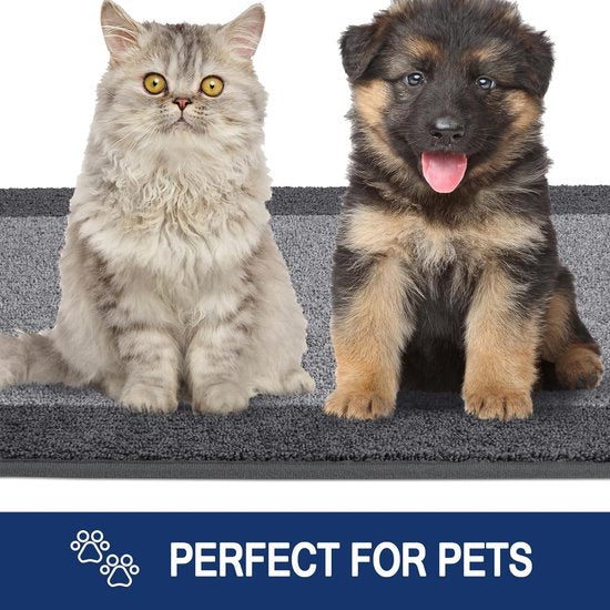 Schoonloopmat voor binnen, 60 x 90 cm, antislip deurmat, wasbare schoonloopmat, absorberende deurmat voor hond, entree, voordeur