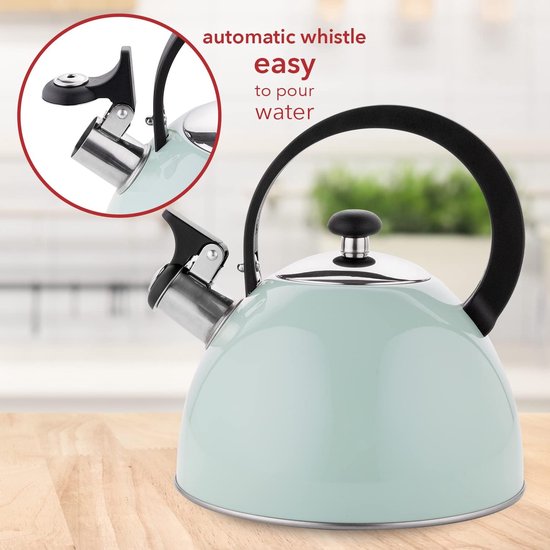 Brilloi Kettle (2 Litres) Stainless Steel Tea Kettle Whistling Kettle with Bakelite Handle I Scratch-Resistant I Kettle for Induction Hobs, Gas Hobs and Electric Hobs I Colour: Mint