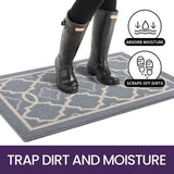 Deurmat voor binnen, 60 x 90 cm, wasbaar, vuilvangmat, antislip, voetmat, voor binnen, waterabsorberende voetmatten, huisdeur, deurmat, deurmat, lichtgrijs
