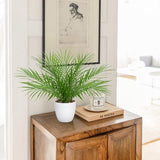 Kunstplanten voor gebruik binnenshuis: deze schattige kleine kunstplanten van palmbomen