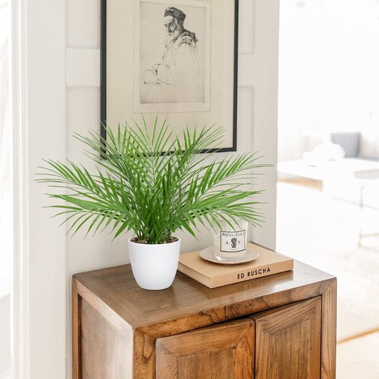 Kunstplanten voor gebruik binnenshuis: deze schattige kleine kunstplanten van palmbomen