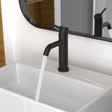 Kraan badkamermengkraan, wastafelmengkraan, eenvoudig te monteren, kraan voor wastafel, badkamer, ééngreeps wastafelmengkraan, geborsteld, roestvrij staal, zwart