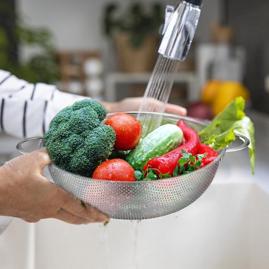Zeef 28 cm, roestvrijstalen keukenzeef met handvat, microgeperforeerde pastazeef, afdruiprek voor het afvoeren en spoelen van groenten, fruit, pasta, rijst, hoogwaardig en vaatwasmachinebestendig