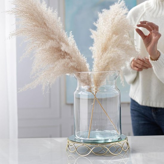 Glazen cilinder H: 25 cm glazen vaas ronde grote vaas doorzichtige ronde vaas voor rozen gedroogde bloemen struik bloemenvaas bruiloft decoratie glazen vaas cilinder | Ø 18 cm | 5500 ml