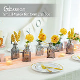 Kleine vazenset, glazen vaas, 6 stuks, mini-bloemenvaas, grijs, vintage, glas, rond, glazen vazen, flessenvaas, kleurrijk, klein geribbeld, tafelvaas, vazenset, glazen fles, decoratie voor