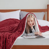 Knuffeldeken, deken, bank, gebreide deken, woondeken, knuffeldeken, 150 x 200, bankdeken, dubbel gezicht, extra zacht, behaaglijke deken, wollige woonkamer, wollen deken, rood, bankdeken