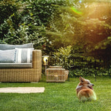 Plant Trellis voor Outdoor Tuin Decoratieve Tuinomheining 4 Zwarte Panelen Metalen Opvouwbare Bloem Bed Dier Hond Barrière Grens Rand Sectie