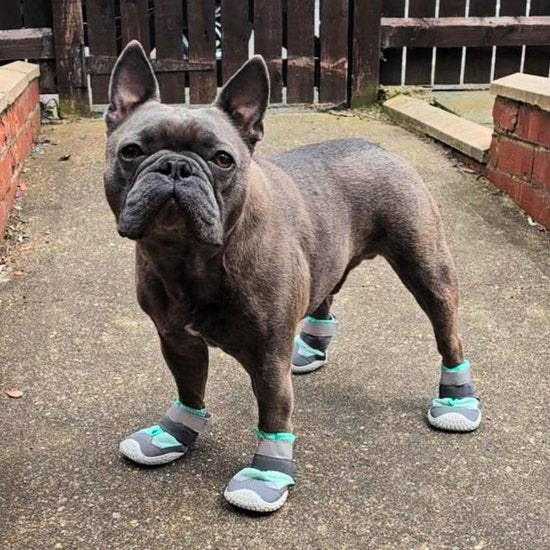 Hondenschoenen met warm asfalt, set van 4 pootbeschermers voor heet asfalt, ruw terrein en doornen, ontwerp voor brede poten, gemakkelijk aan te trekken, turquoise, C