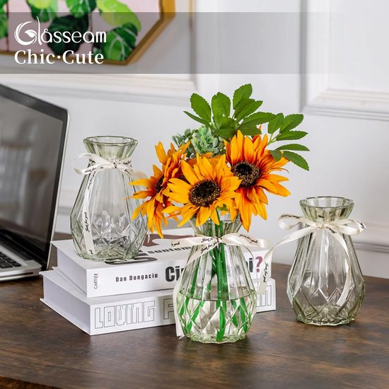 Glazen vazen voor bloemen met zijden touw, 3 stuks moderne hyacinten vazen, Bud Avocado vaas, edelwikkvaas voor hydrocultuur planten, narcissen en orchideeën voor op het bureau, de vensterbank of binnenshuis.