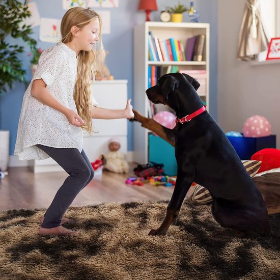 Hoogpolig tapijt woonkamer super zacht shaggy tapijt pluizig Soft Area tapijt slaapkamer tapijten super zacht pluizig kindermat tapijt (bruin, 160 x 230 cm)