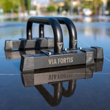 Premium paraletstang – extreem stabiel en licht staal – gemakkelijk mee te nemen – lichaamsgewichtstraining – alle vermogensniveaus