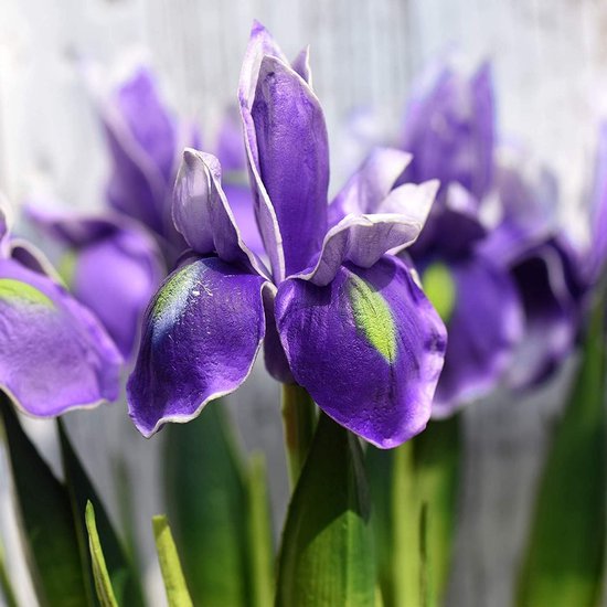 Pack of 3 Artificial Iris Flowers, Long Stems, Fake Artificial Flowers, Iris Decoration for DIY Flower Arrangements, Wedding Bouquet, Photo Props, Decoration, Home, Party, Table Decoration,