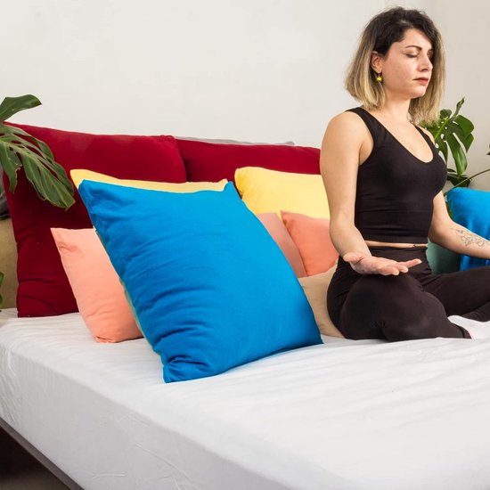 Set van 2 kussenslopen 40 x 40 cm van 100 katoen jerseystof 140 g/m², verborgen ritssluiting, kussensloop 40 x 40 cm, kussenhoes, ultrazacht en ademend, Oeko-Tex gecertificeerd