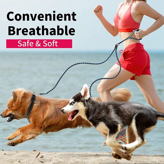 Zachte Halsband Reflecterende Verstelbare Gewatteerde Halsband Met Tag Voor Kleine Grote Honden - Zwart - S