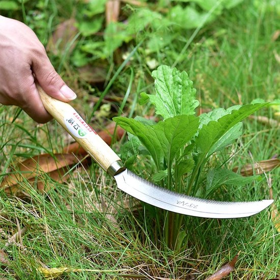 6.3 inch zaagtandgras en Japans onkruid sikkel roestvrij staal, 7.87 inch hardhouten handvat