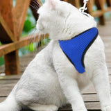 2 stuks verstelbaar kippenharnas, trainingsharnas en riem voor 7,5 - 8 kg eendengans, kippen, kleine huisdieren, roze-rood en blauw