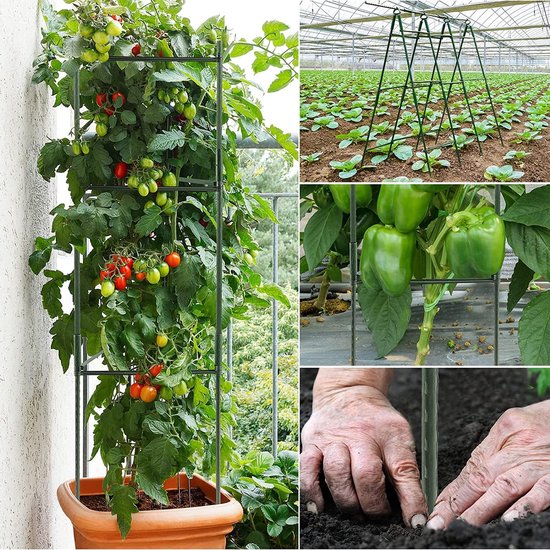 3 stuks tomatenklimhulp, plantenhouder, klimhulp, planten, robuuste tomatenkooi, plantensteun, paal, tuin, bloemensteun, klimrooster voor de teelt van klimplanten, bloemen, groenten (123 cm)