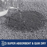 Schoonloopmat voor binnen, 60 x 90 cm, antislip deurmat, wasbare schoonloopmat, absorberende deurmat voor hond, entree, voordeur