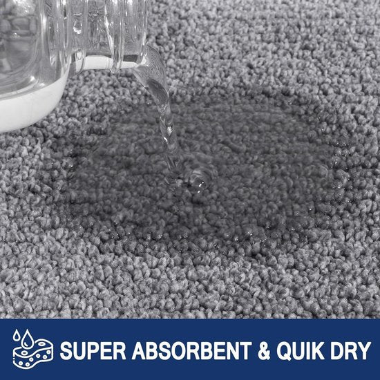 Schoonloopmat voor binnen, 60 x 90 cm, antislip deurmat, wasbare schoonloopmat, absorberende deurmat voor hond, entree, voordeur