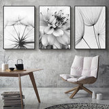 3-delige premium posterset, esthetische bloemen, zwart, wit, veer, paardenbloem, foto's, moderne wandschilderijen, woonkamer, slaapkamer, wanddecoratie, kunst zonder lijst (B, 40 x 60 cm)