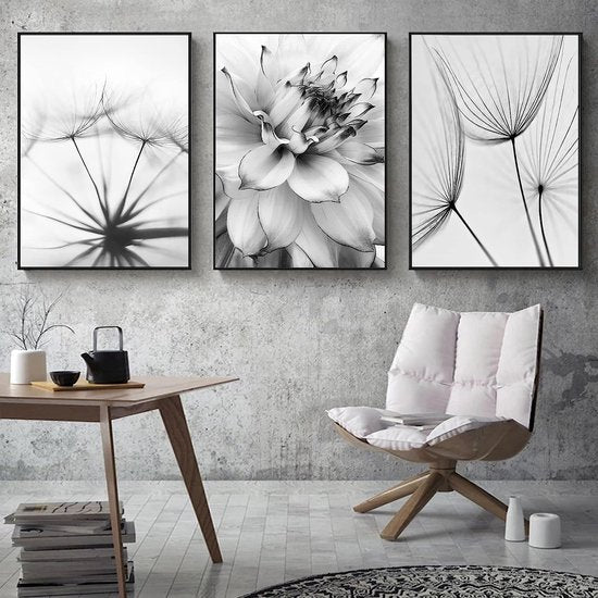 3-delige premium posterset, esthetische bloemen, zwart, wit, veer, paardenbloem, foto's, moderne wandschilderijen, woonkamer, slaapkamer, wanddecoratie, kunst zonder lijst (B, 40 x 60 cm)