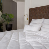 microvezelkussen 60 x 60 cm, met optimale steun voor nek en hoofd, set van 2