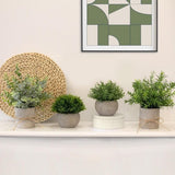 Set van 4 kunstplanten, mini-kunstplant eucalyptus, kunstplanten kunststof voor slaapkamer, badkamer, keuken, huis, binnendecoratie