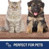 Schoonloopmat, voor binnen, 50 x 80 cm, antislip, machinewasbare vloermat, schoonloopmat, entreemat met waterabsorberende deurmat voor hond, ingang, voordeur en hal