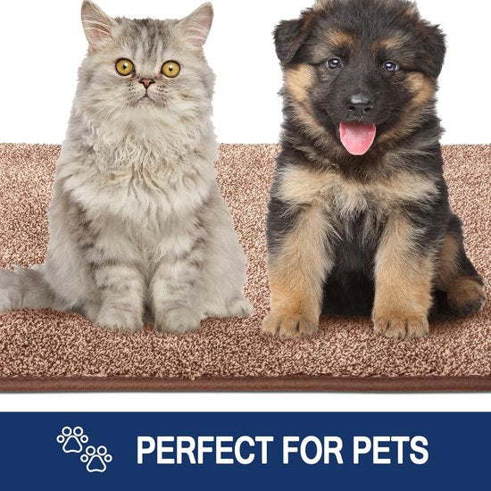 Schoonloopmat, voor binnen, 50 x 80 cm, antislip, machinewasbare vloermat, schoonloopmat, entreemat met waterabsorberende deurmat voor hond, ingang, voordeur en hal