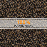 vuilvangmat, voor binnen- en buitendeur, voetveger, deurmat, antraciet-zwart