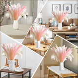 Pampasgras Gedroogde Bloemen Decoratie Natuurlijke Gedroogde Bloemen Boeket Witte Gedroogde Bloemen Decoratie Voor Badkamer Decoratie Tafeldecoratie Woondecoratie