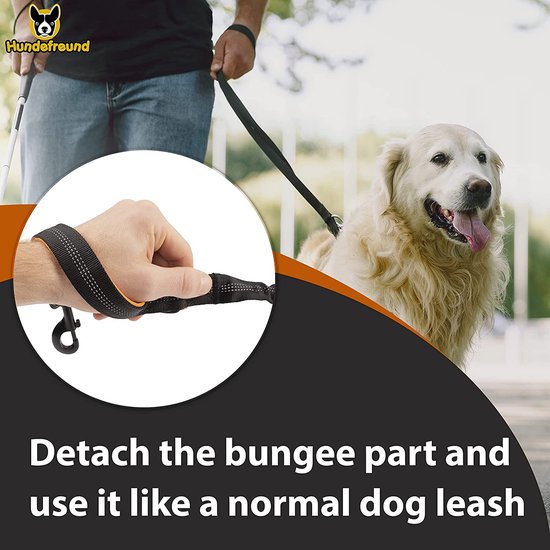 Jogginglijn voor grote honden tot 15 kg, vier elastische handgrepen met lichte banden, afneembare polsbanden met 2 kleine banden, oranje lussen (120 cm, reikbaar tot 170 cm)