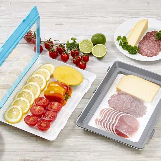 Vershouddozen, set van 2 stuks, ook geschikt als lunchbox om mee te nemen, praktische bento-box of milieuvriendelijke broodtrommel, vrij van BPA, geschikt voor magnetron en vaatwasser.