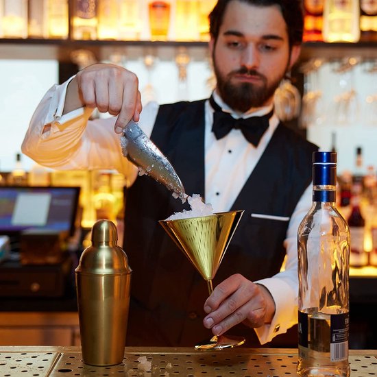 10-Delige Gouden Cocktail Set, Complete Geschenkset met Roestvrijstalen Cocktailshaker, Schenktuit, Muddler en Meer