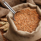 IJsschep, 3-delige set, roestvrij staal, afweegschep, meelschep, voederschep, zakschep, vulschep voor keuken, bar, buffet, feest, tuin, veelzijdig en vaatwasmachinebestendig, 3/5/8 oz