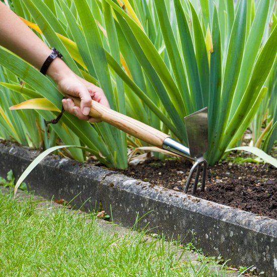 Dubbele hak – tuinhak van roestvrij staal, voor het ventileren van vloeren, onkruidjager met steel van essenhout, lengte: 37 cm