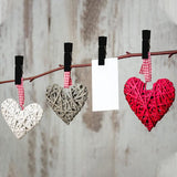 Mini-kledingpinnen voor foto's, 50 stuks houten fotoclips, fotoclips, foto's, handwerk, weergave, zwart